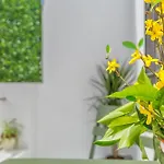 Διαμέρισμα Apto Tendillas Centro Terraza - Oliva Κόρδοβα