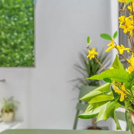 Apartment Apto Tendillas Centro Terraza - Oliva Cordoba