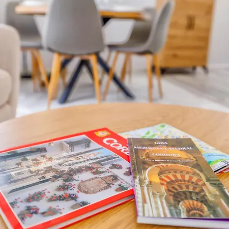 Apto Tendillas Centro Terraza - Oliva Apartment